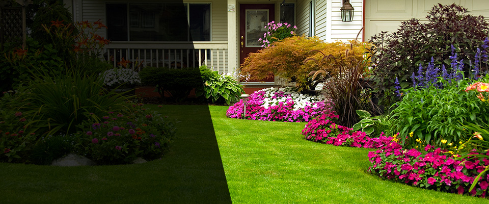 Madrid Landscapers