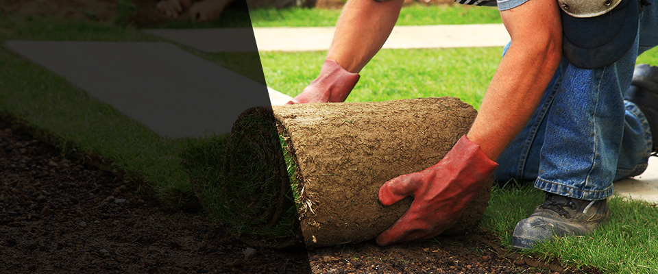 Madrid Landscapers